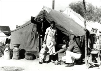 Welcome to Cheetonomics