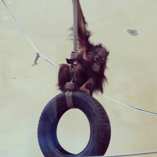 “We’re on Our Own Out&nbsp;Here”