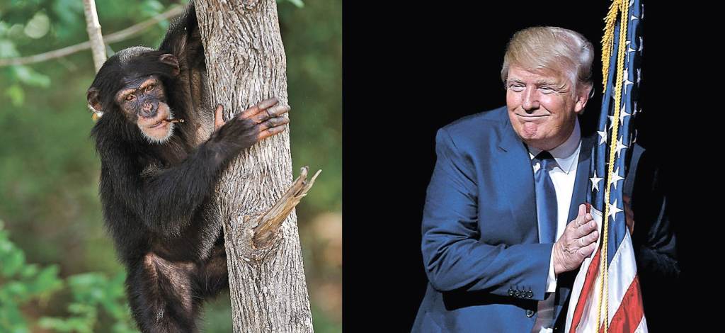 It is Hard to Keep Dancing After the Organ Grinder&nbsp;Stops