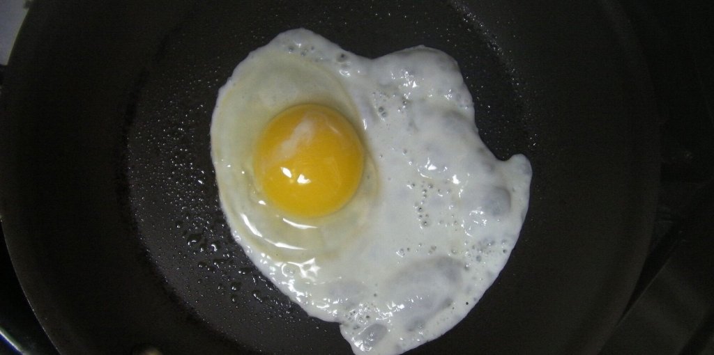 This is Your Brain on&nbsp;Drugs