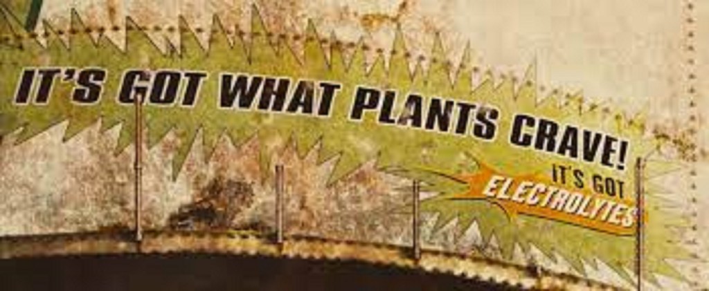 Straight Fear, No&nbsp;Chaser