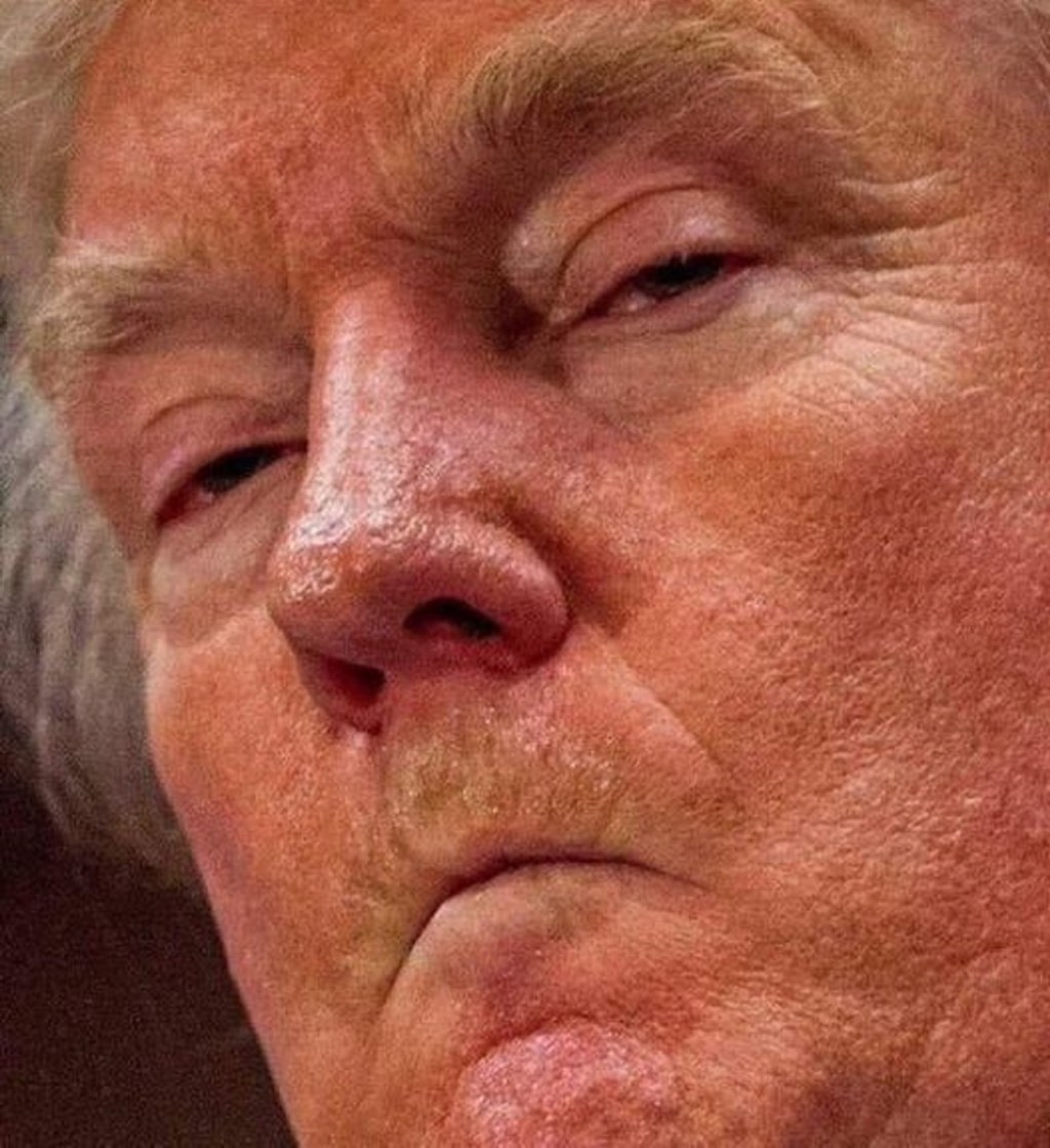 Lions and Tigers and Trump, Oh&nbsp;My!