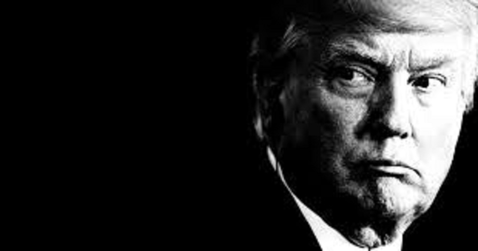 Whatever Happened to Fight, Fight,&nbsp;Fight?