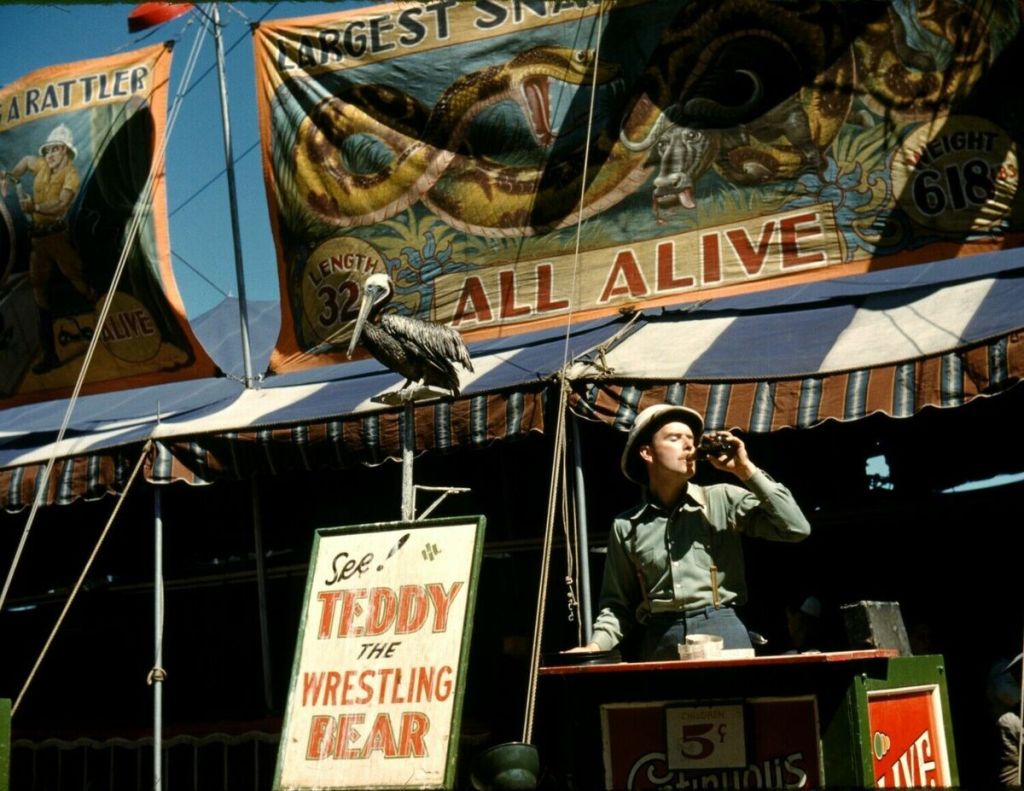 The Incredible Shrinking&nbsp;Despot